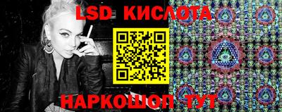 сатива Заводоуковск