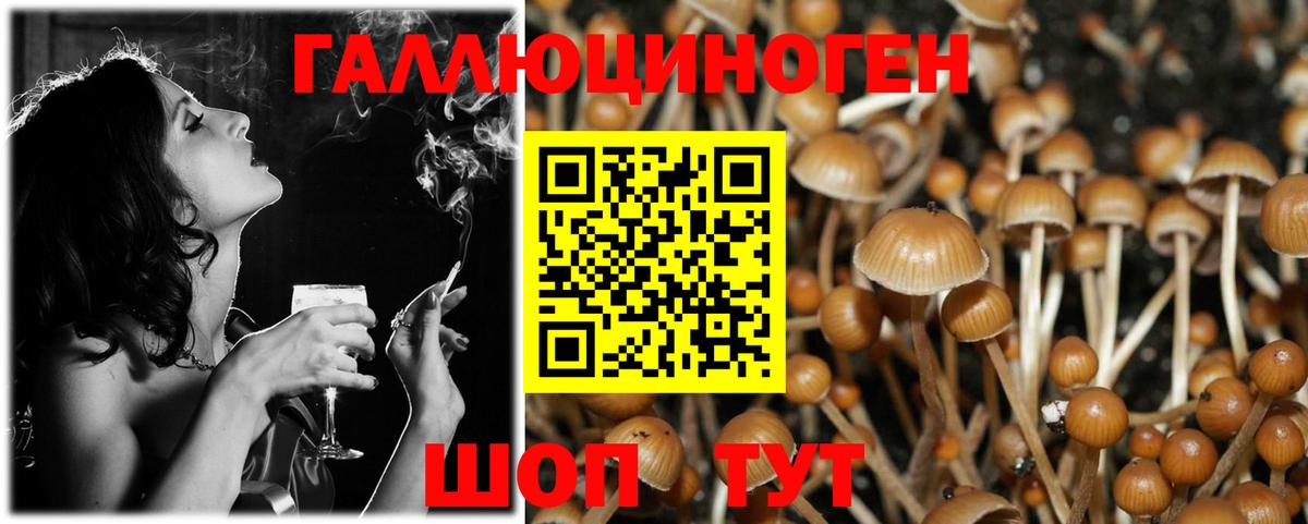 Псилоцибиновые грибы прущие грибы Малгобек